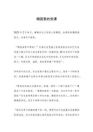 橘园里的党课.docx