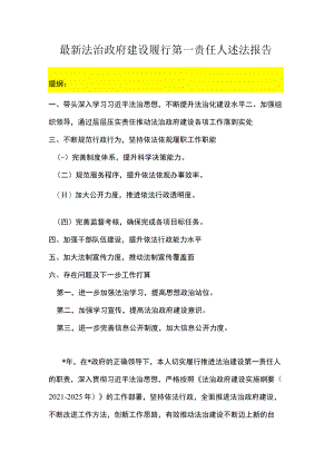 最新法治政府建设履行第一责任人述法报告.docx