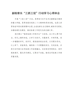 副检察长“三抓三促”行动学习心得体会.docx