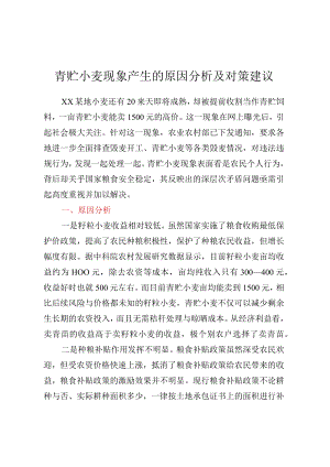 青贮小麦现象产生的原因分析及对策建议.docx