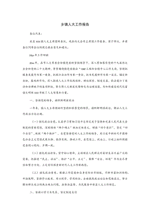 乡镇人大工作报告.docx