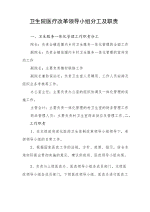 卫生院医疗改革领导小组分工及职责.docx