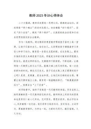 教师2023冬训心得体会.docx