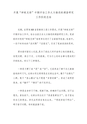 开展“样板支部”中期评估工作大力推进的调查研究工作阶段总结.docx