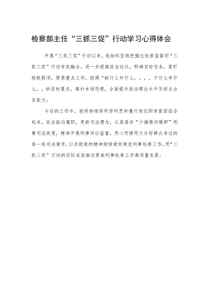 检察部主任“三抓三促”行动学习心得体会.docx