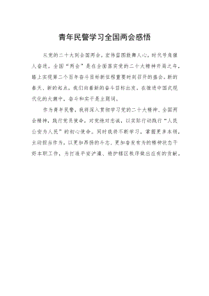 青年民警学习全国两会感悟.docx
