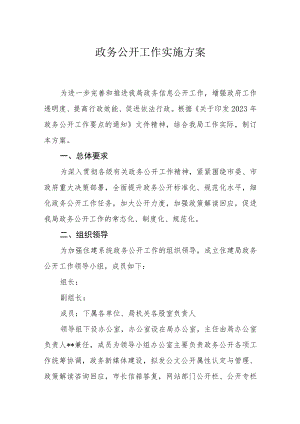 政务公开工作实施方案.docx
