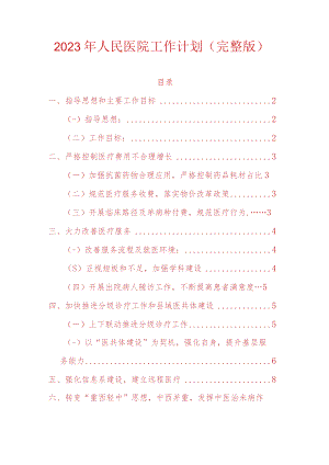2023年人民医院工作计划.docx