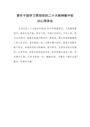 青年干部学习贯彻党的二十大精神集中轮训心得体会.docx