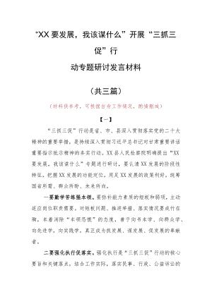 2023年“XX要发展、我该谋什么”开展三抓三促专题研讨心得体会发言范文（共3篇）.docx