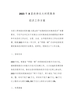 2023年X县扶持壮大村级集体经济工作方案.docx