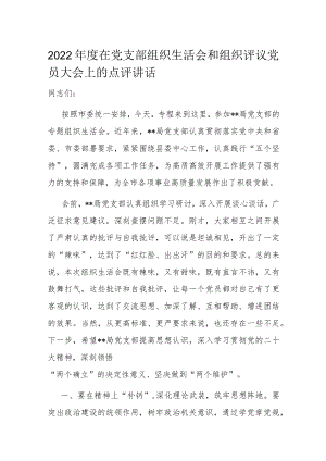 2022年度在党支部组织生活会和组织评议党员大会上的点评讲话.docx