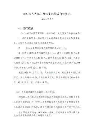 12、2021年度部门整体支出绩效自评表docx.docx