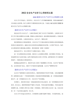 2022安全生产法学习心得体会感悟五篇.docx