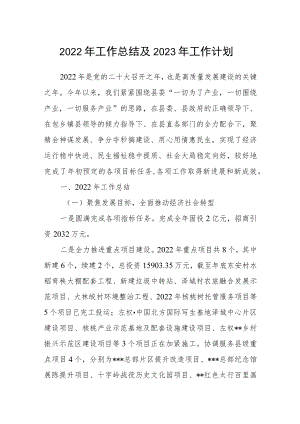 2022年工作总结及2023年工作计划.docx
