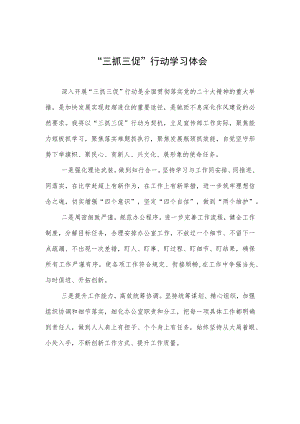 2023三抓三促行动学习体会.docx