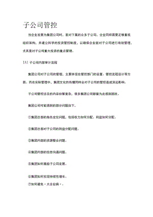 2023年版子公司管控.docx
