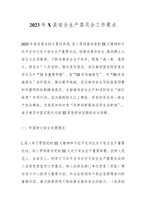 2023年X县安全生产委员会工作要点.docx