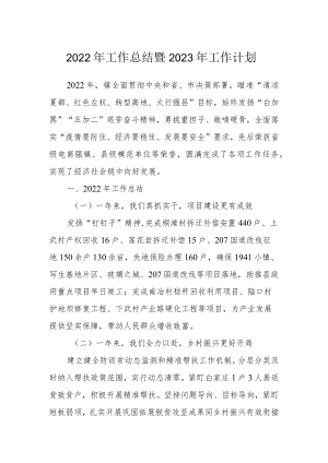 2022年工作总结暨2023年工作计划.docx