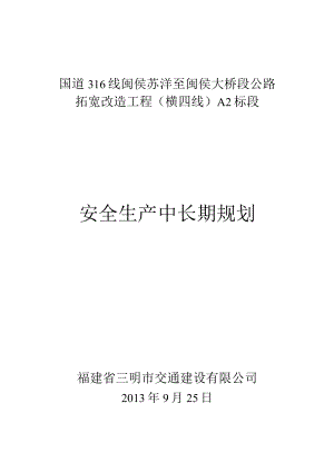 A2安全生产中长期规划.docx