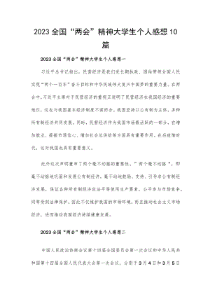 2023全国“两会”精神大学生个人感想10篇.docx