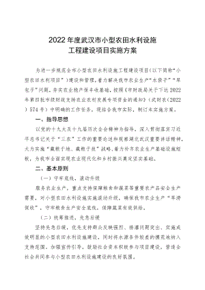 2022年度小型农田水利项目实施方案.docx