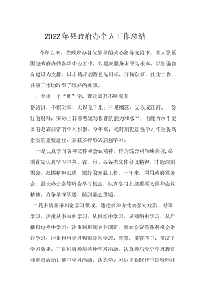2022年县政府办个人工作总结.docx