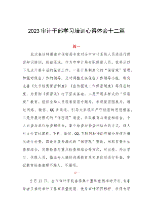 2023审计干部学习培训心得体会十二篇.docx