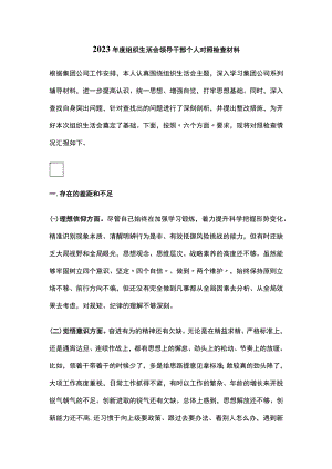 2023年度组织生活会领导干部个人对照检查材料.docx