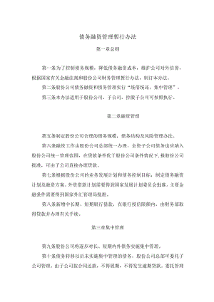 债务融资管理暂行办法.docx