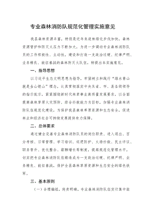 专业森林消防队规范化管理实施意见.docx