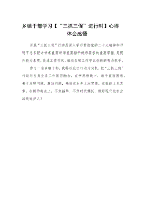 乡镇干部学习【“三抓三促”进行时】心得体会感悟.docx