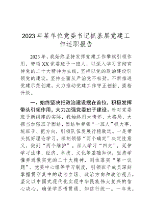 2023年某单位党委书记抓基层党建工作述职报告.docx