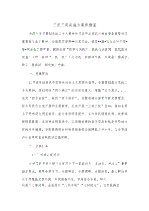 三抓三促实施方案供借鉴.docx