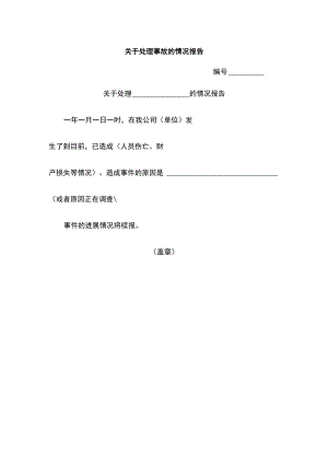 关于处理事故的情况报告（标准模板）.docx