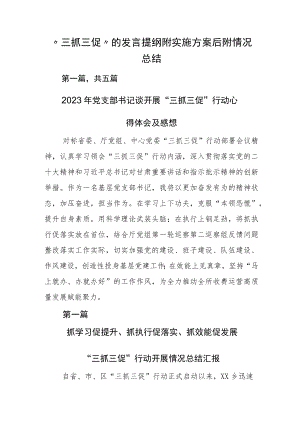 “三抓三促”的发言提纲附实施方案后附情况总结.docx