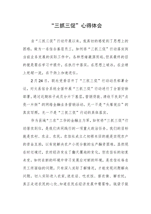 党员干部关于落实三抓三促行动的心得体会.docx