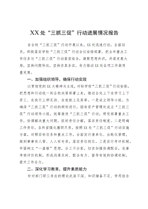 “三抓三促”行动进展情况报告.docx