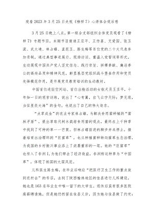 2023观看央视3.25《榜样7》心得体会观后感范文4篇.docx