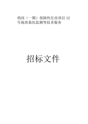 保障性住房项目12号地块基坑监测等技术服务招标文件.docx