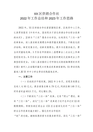 XX区供销合作社2022年工作总结和2023年工作思路.docx