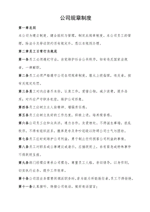公司规章制度.docx