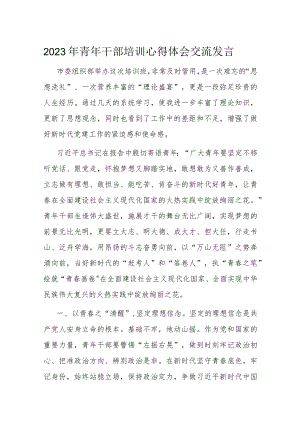 2023年青年干部培训心得体会交流发言.docx