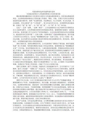 党建品牌亮起来 党建阵地红起来 以混促改持续注入市场基因推进公司高质量发展.docx