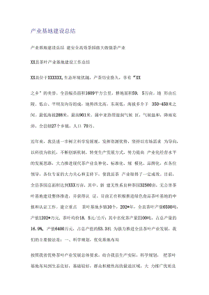 产业基地建设报告.docx