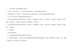 公司双体系基本内容.docx