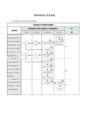 信息系统自行开发流程.docx