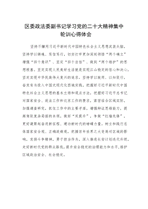 区委政法委副书记学习党的二十大精神集中轮训心得体会.docx