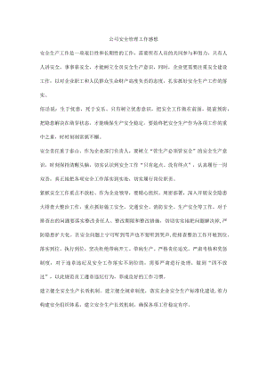 公司安全管理工作感想.docx