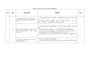 主办安全生产职责及履职清单.docx